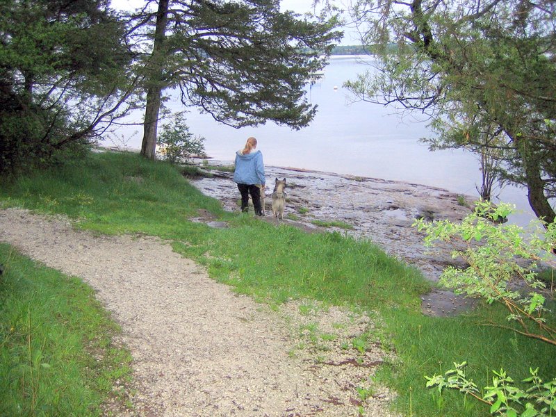 Shelburne Bay Park Trail Finder